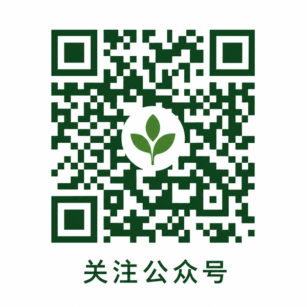 免费看片
